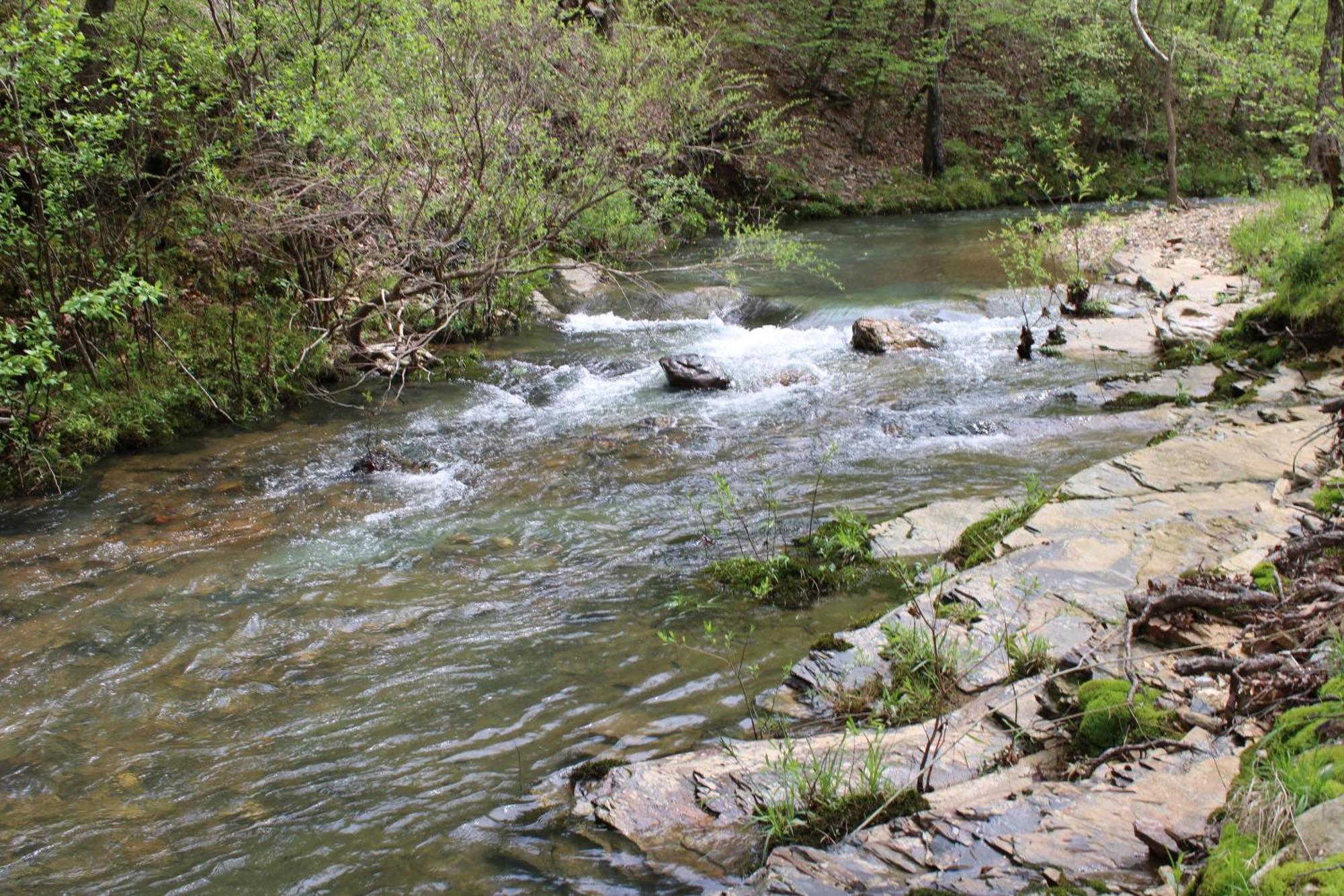 132 Catherine Park #1 Cozy Romantic Cabin On The Creek Villa Hot Springs Exterior photo