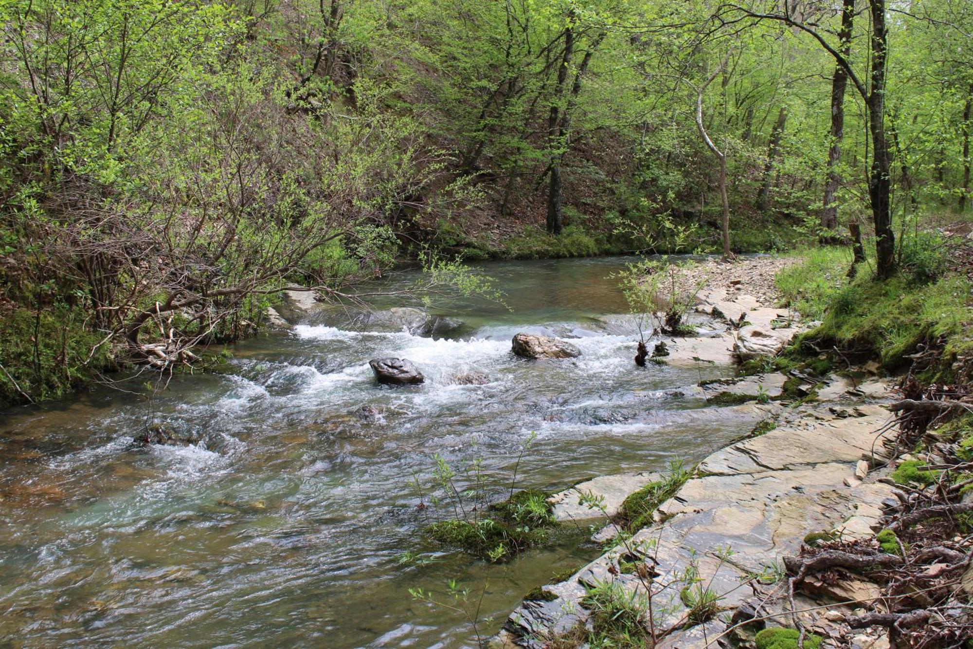 132 Catherine Park #1 Cozy Romantic Cabin On The Creek Villa Hot Springs Exterior photo